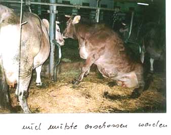 Unbenannte Seite